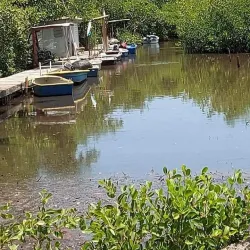 Las Croabas - Fajardo