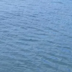 Palomino Island - Fajardo