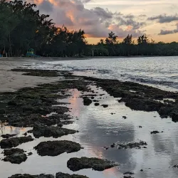 Seven Seas Beach (Playa Seven Seas) - Fajardo