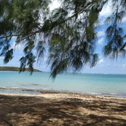 Seven Seas Beach (Playa Seven Seas) - Fajardo