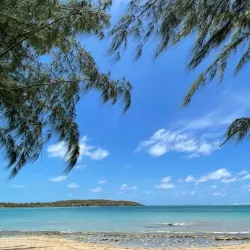 Seven Seas Beach (Playa Seven Seas) - Fajardo