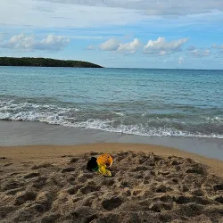 Seven Seas Beach (Playa Seven Seas) - Fajardo