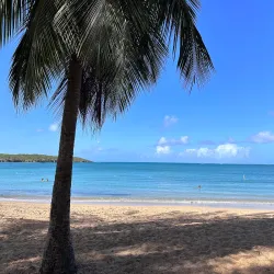 Seven Seas Beach (Playa Seven Seas) - Fajardo