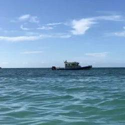 Seven Seas Beach (Playa Seven Seas) - Fajardo