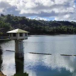 Bird Watching Spots in Guajataca - Guajataca