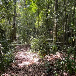 Bird Watching Spots in Guajataca - Guajataca