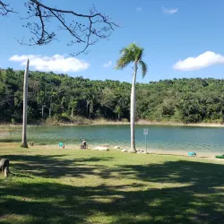 Bird Watching Spots in Guajataca - Guajataca