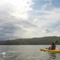 Bird Watching Spots in Guajataca - Guajataca