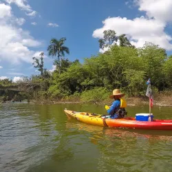 Bird Watching Spots in Guajataca - Guajataca