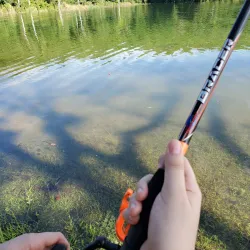 Bird Watching Spots in Guajataca - Guajataca