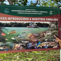 Bird Watching Spots in Guajataca - Guajataca