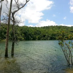 Bird Watching Spots in Guajataca - Guajataca