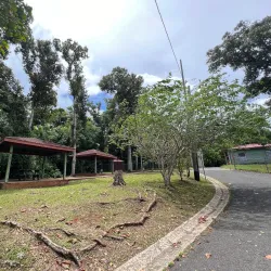 Bird Watching Spots in Guajataca - Guajataca