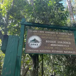 Guajataca Forest - Guajataca