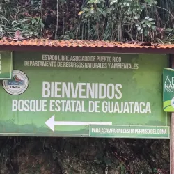 Guajataca Forest - Guajataca