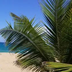 Guajataca Lookout Point - Guajataca