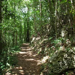 Guajataca State Forest Visitor Center - Guajataca