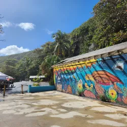 Guajataca Tunnel - Guajataca