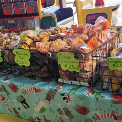 Local Artisanal Shops - Guajataca