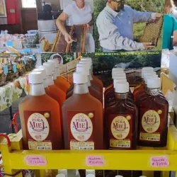 Local Artisanal Shops - Guajataca