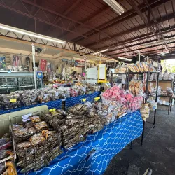 Local Artisanal Shops - Guajataca