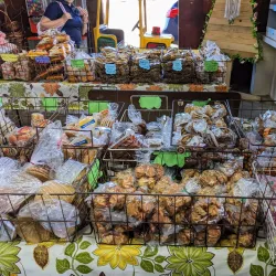 Local Artisanal Shops - Guajataca