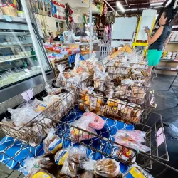 Local Artisanal Shops - Guajataca