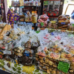 Local Artisanal Shops - Guajataca