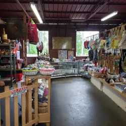 Local Artisanal Shops - Guajataca