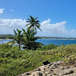 Cueva del Indio - Guanica