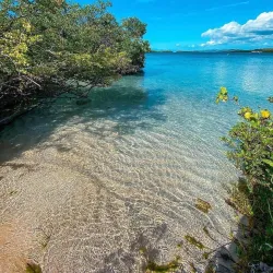 Gilligan's Island (Isla de Gilligan) - Guanica