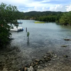 Gilligan's Island (Isla de Gilligan) - Guanica