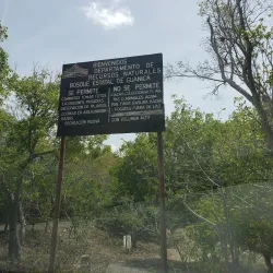 Guanica Dry Forest (Bosque Seco de Guanica) - Guanica