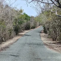 Guanica Dry Forest (Bosque Seco de Guanica) - Guanica