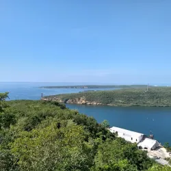 Guanica Dry Forest (Bosque Seco de Guanica) - Guanica