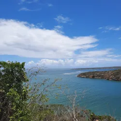 Guanica Dry Forest (Bosque Seco de Guanica) - Guanica