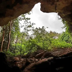 Guanica Dry Forest (Bosque Seco de Guanica) - Guanica