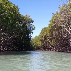 Playa Manglillo - Guanica