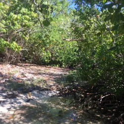 Playa Manglillo - Guanica