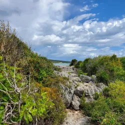 Playa Manglillo - Guanica