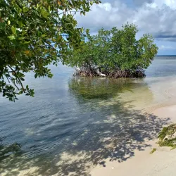 Playa Manglillo - Guanica