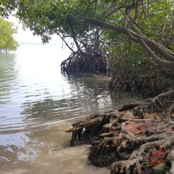 Playa Manglillo - Guanica