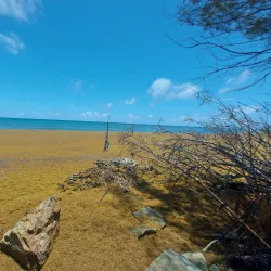 Punta de las Figuras - Guanica
