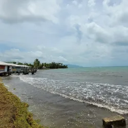 Punta de las Figuras - Guanica