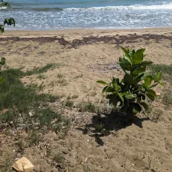 Balneario de Guayama - Guayama