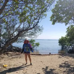 Guayama Historic District - Guayama