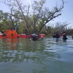 Guayama Historic District - Guayama