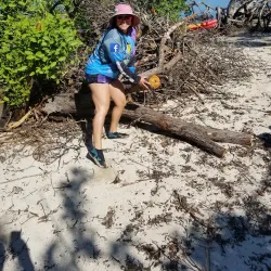 Guayama Historic District - Guayama