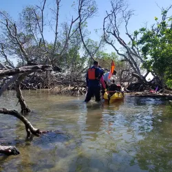 Guayama Historic District - Guayama