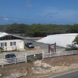 Guayama Salt Flats (Salinas de Guayama) - Guayama